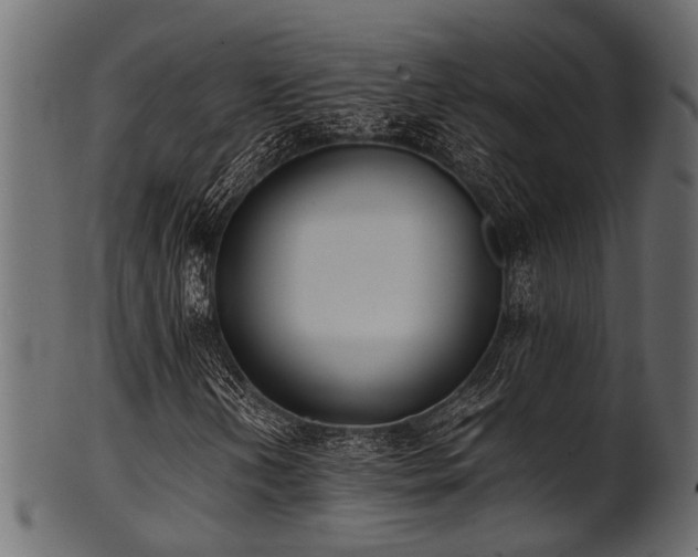 X0000102031202200807181342