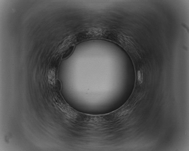 X0000102031203200807181342