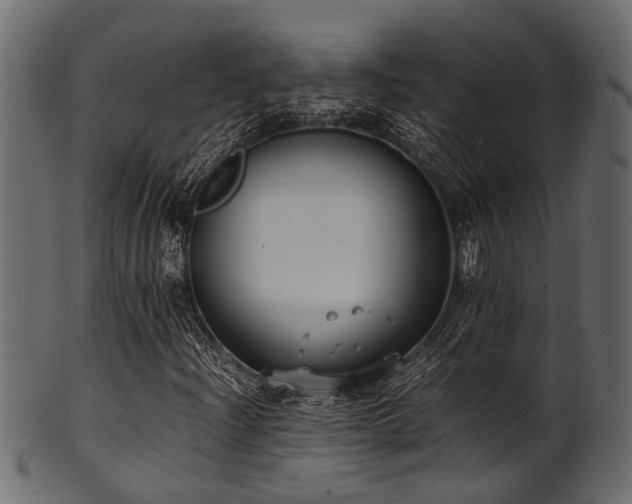 X0000102031204200807181342