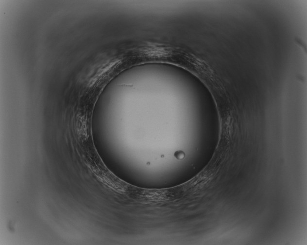 X0000102031205200807181342