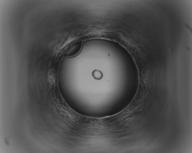 X0000102031206200807181342