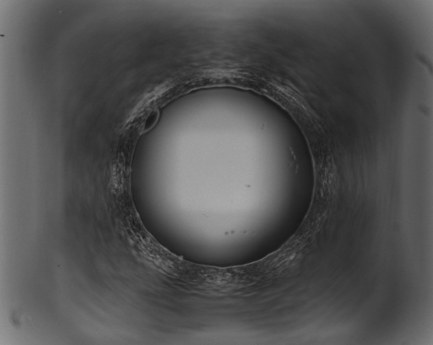 X0000102031207200807181342