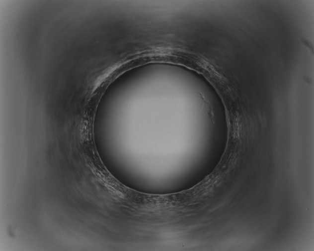 X0000102031208200807181342