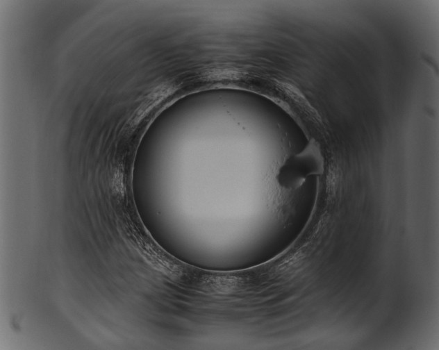 X0000102031209200807181342