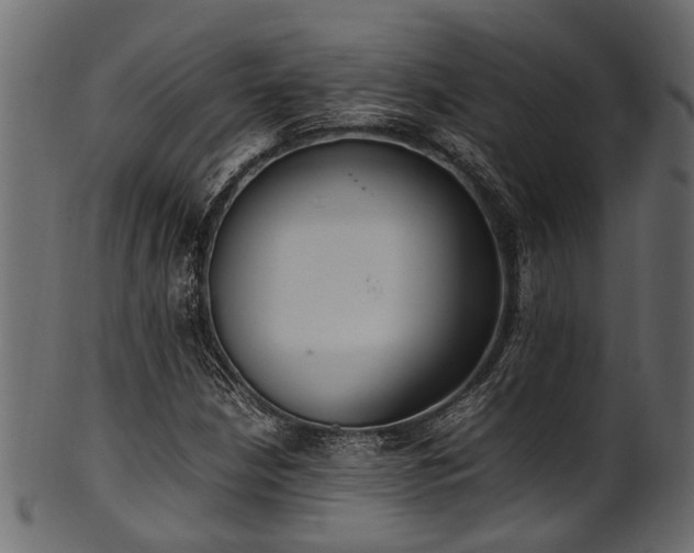 X0000102031210200807181342