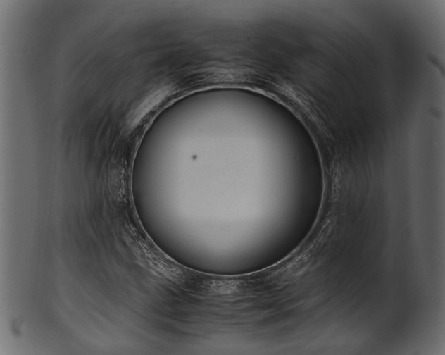 X0000102031211200807181342