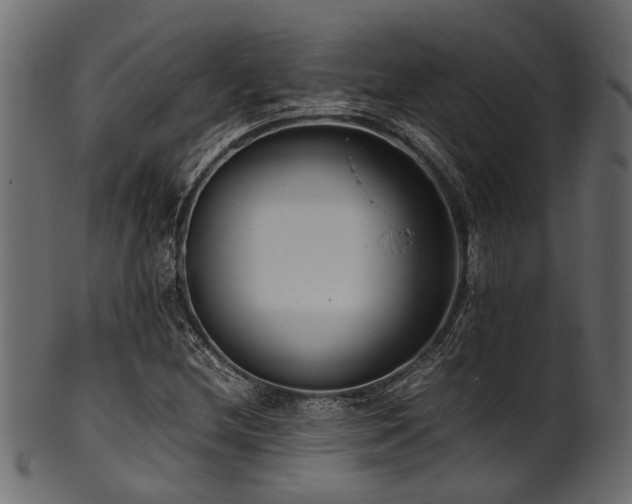 X0000102031212200807181342