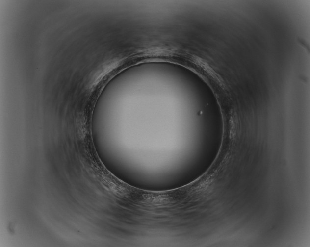 X0000102031213200807181342