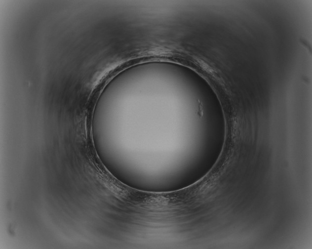 X0000102031214200807181342