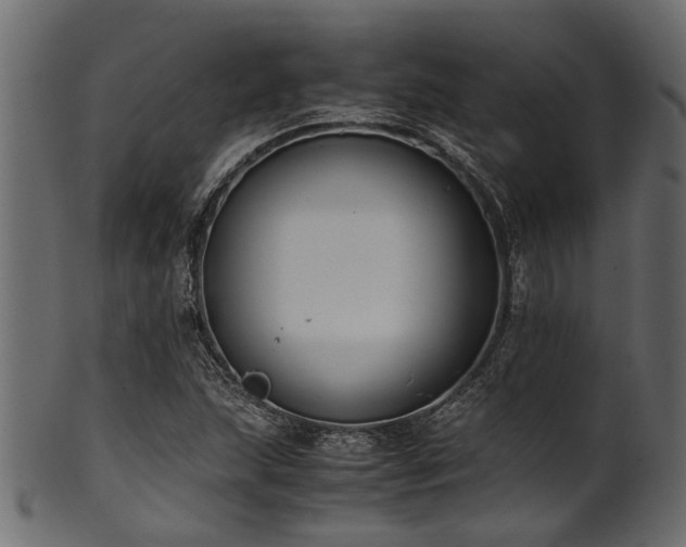 X0000102031215200807181342