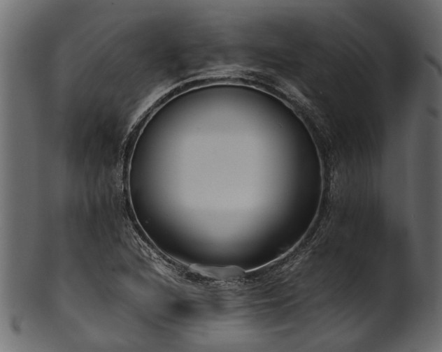 X0000102031216200807181342