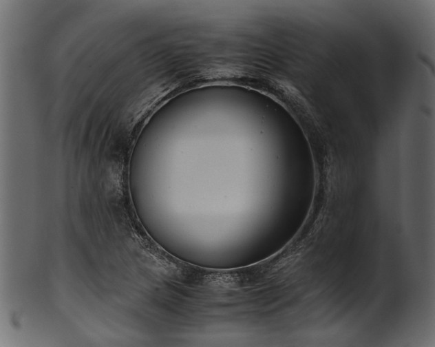 X0000102031217200807181342