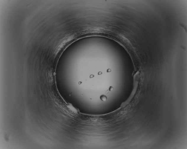 X0000102031218200807181342