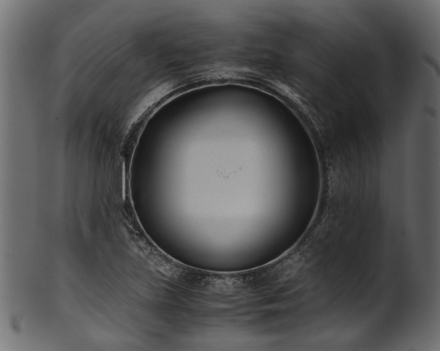 X0000102031219200807181342