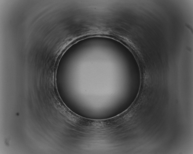 X0000102031220200807181342