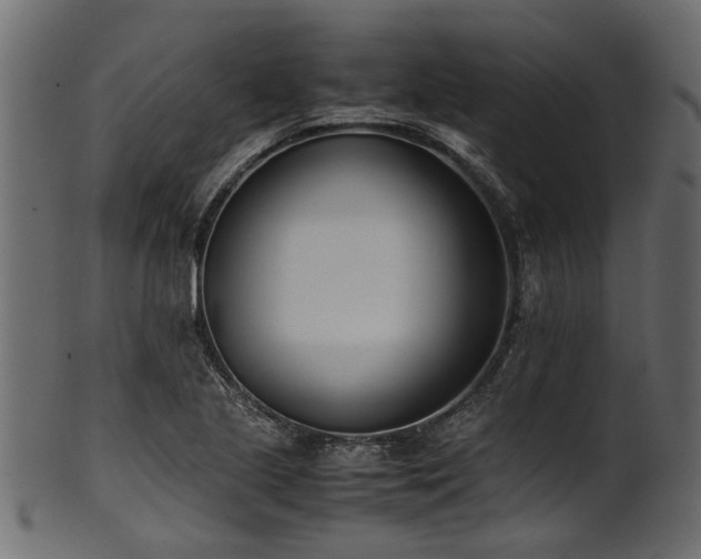 X0000102031221200807181342