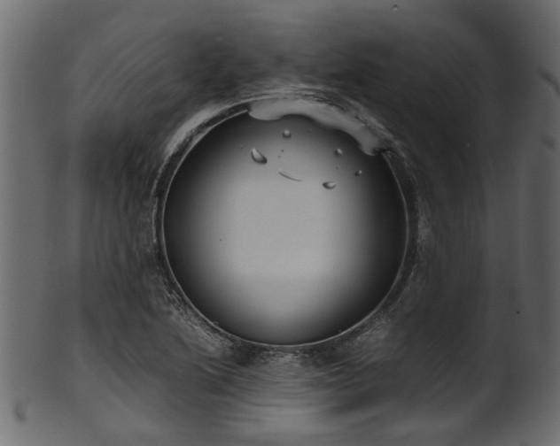 X0000102031222200807181342