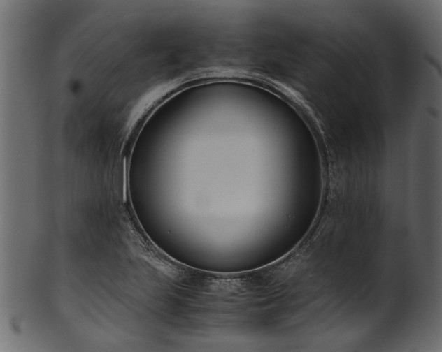 X0000102031223200807181342