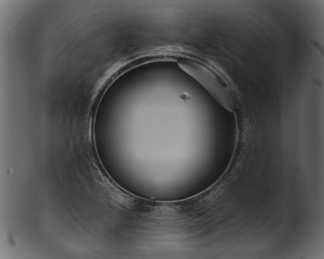 X0000102031224200807181342