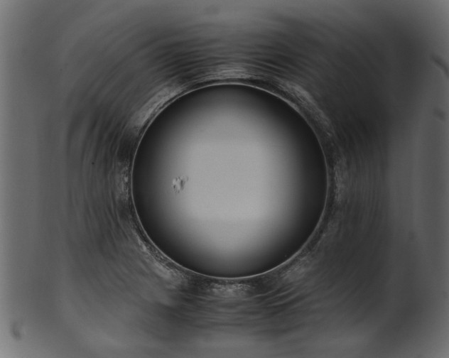 X0000102031225200807181342