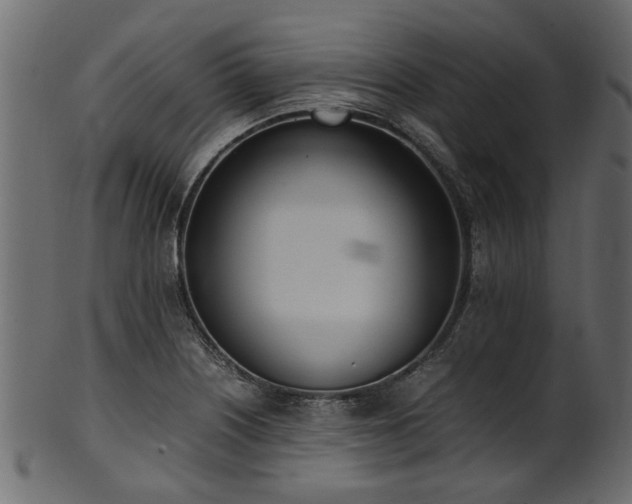 X0000102031226200807181342