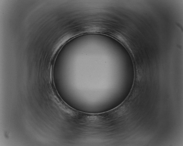 X0000102031227200807181342