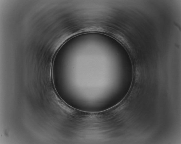 X0000102031228200807181342