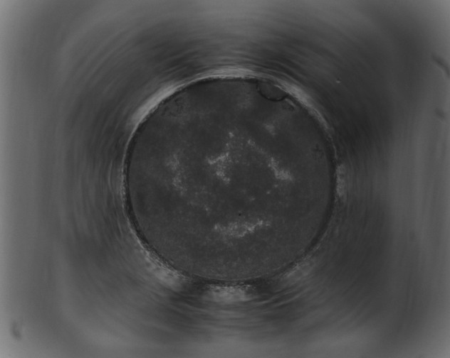 X0000102031229200807181342