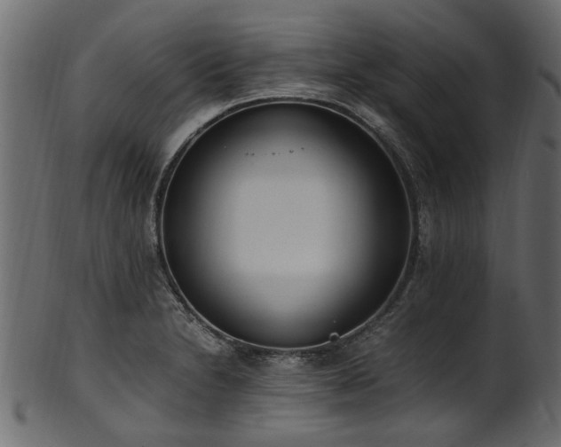 X0000102031230200807181342