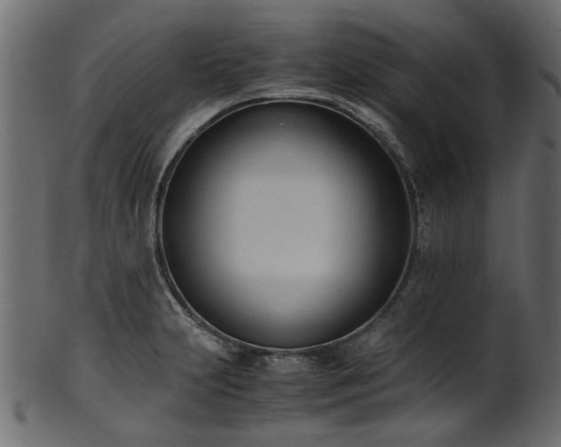 X0000102031231200807181342