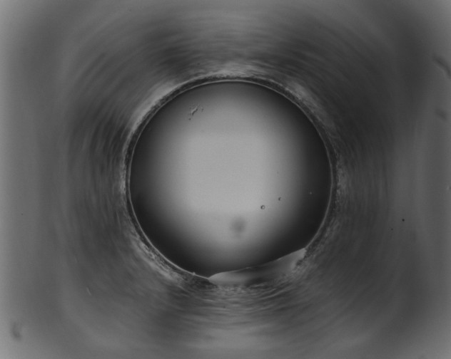 X0000102031232200807181342