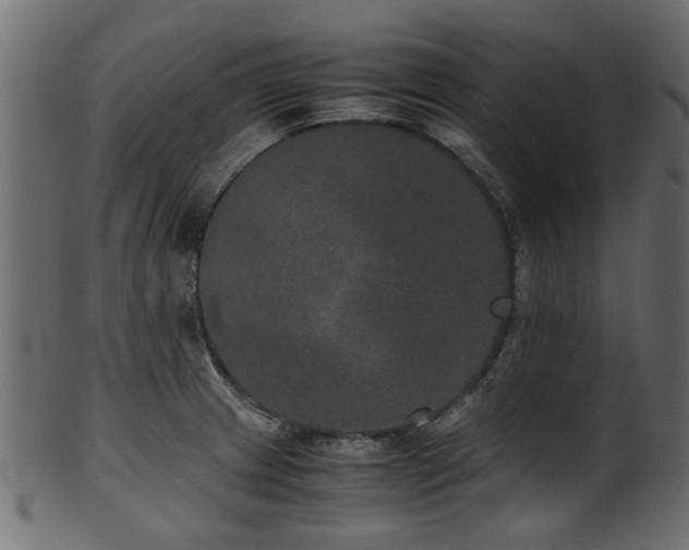 X0000102031233200807181342