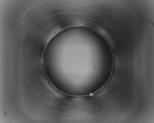 X0000102031234200807181342