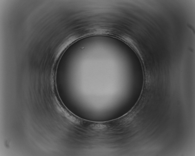 X0000102031235200807181342