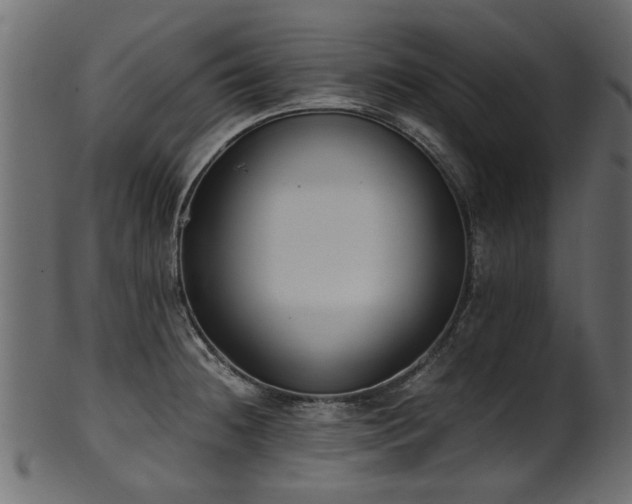 X0000102031236200807181342