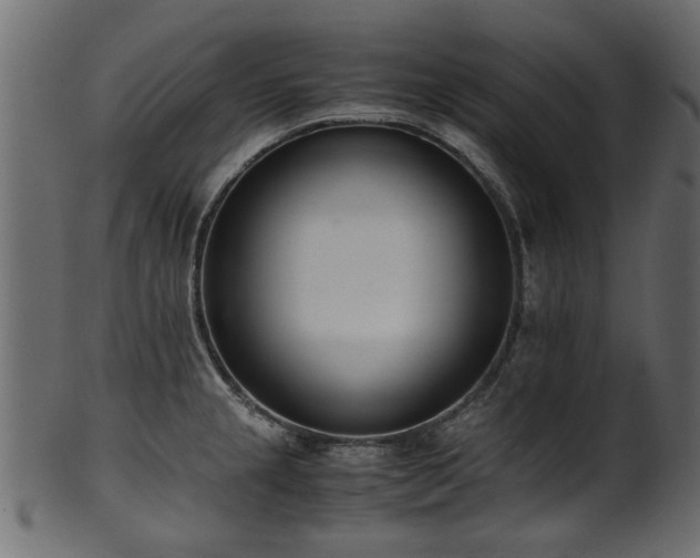 X0000102031237200807181342