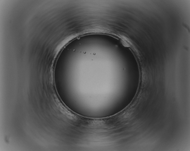 X0000102031238200807181342