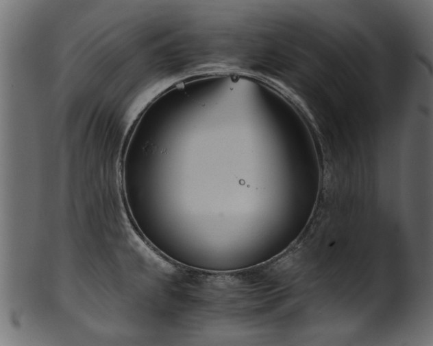 X0000102031239200807181342