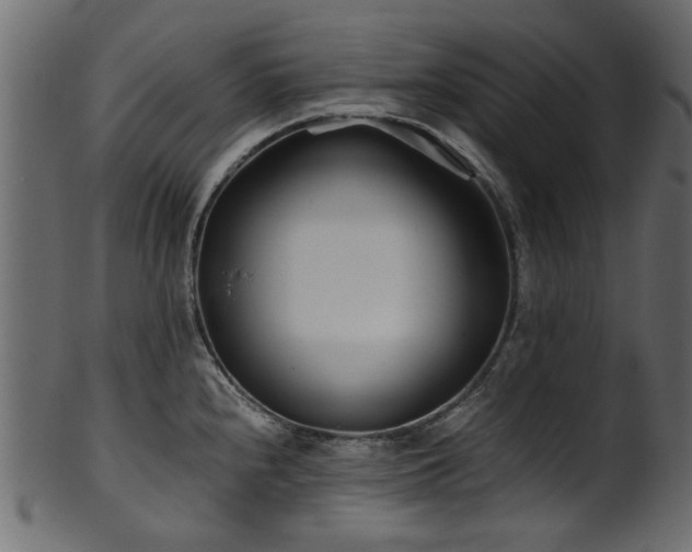 X0000102031240200807181342