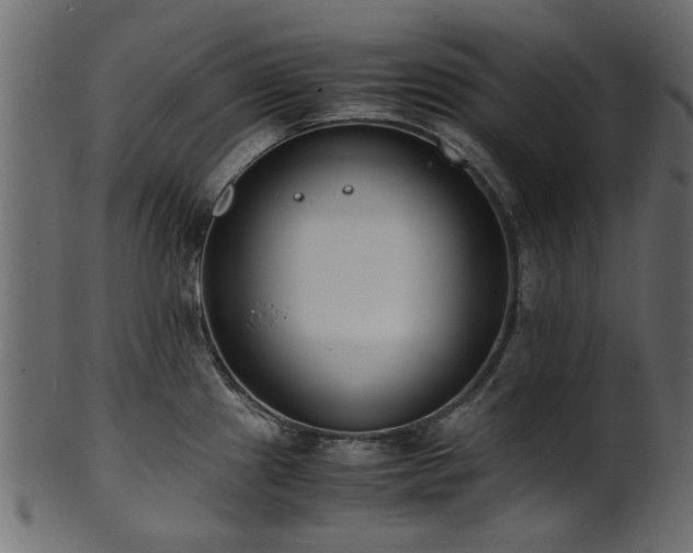 X0000102031241200807181342