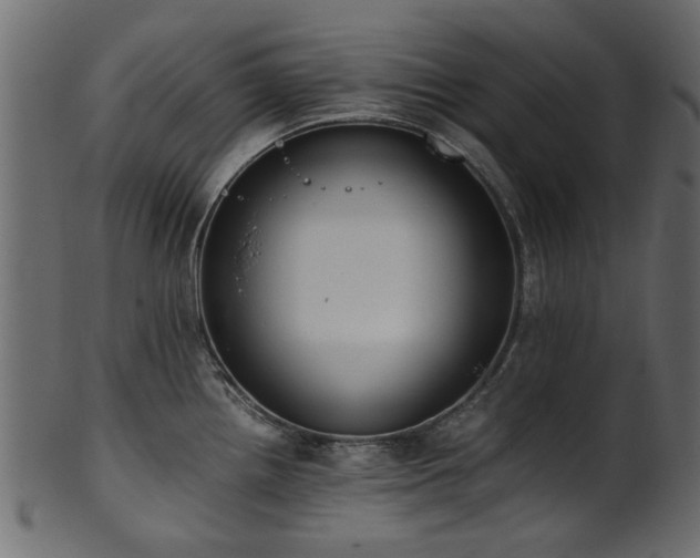 X0000102031242200807181342