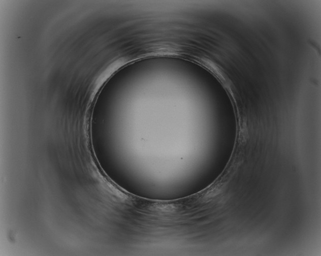 X0000102031243200807181342