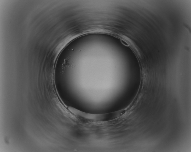 X0000102031244200807181342