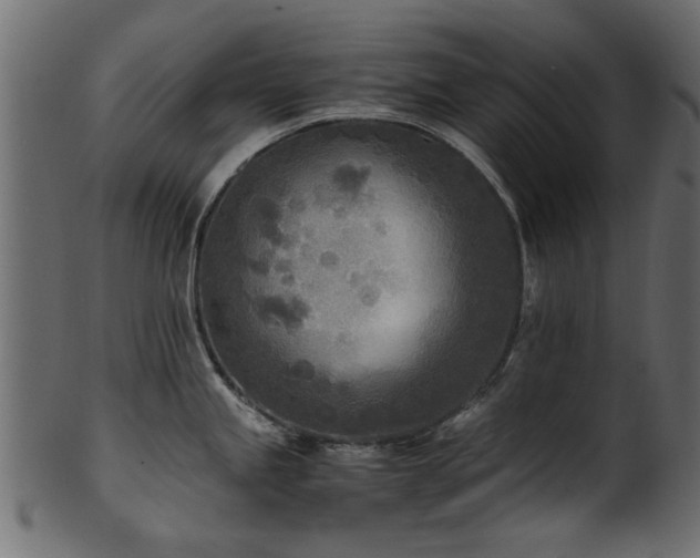 X0000102031245200807181342