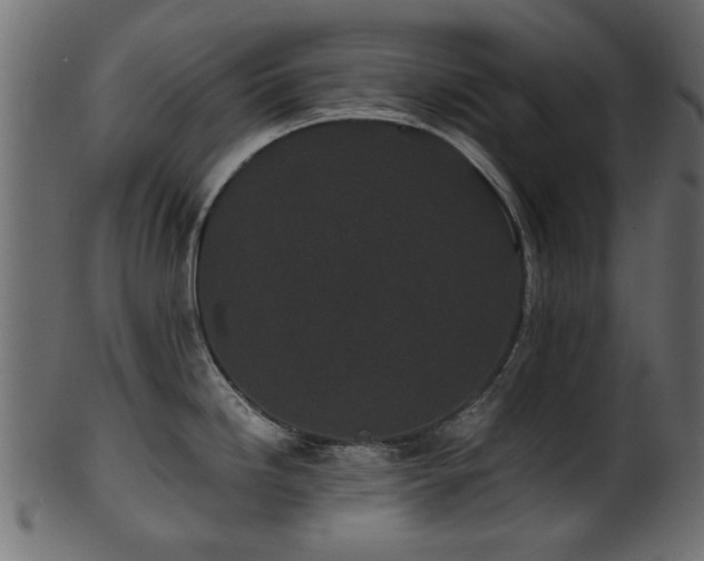 X0000102031246200807181342