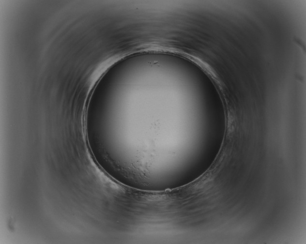 X0000102031247200807181342