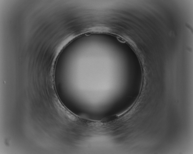 X0000102031248200807181342