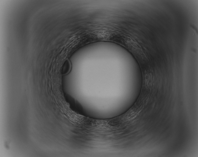 X0000102031249200807181342