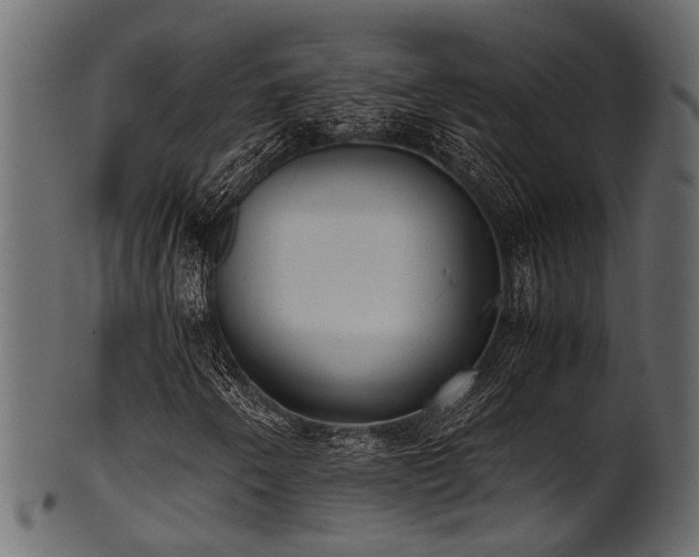 X0000102031250200807181342