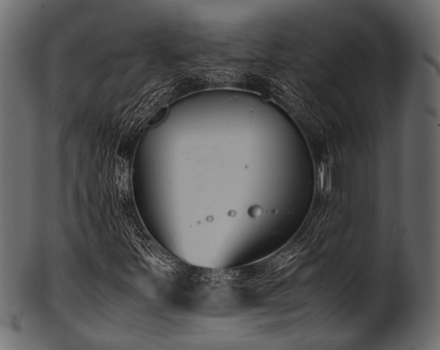 X0000102031251200807181342